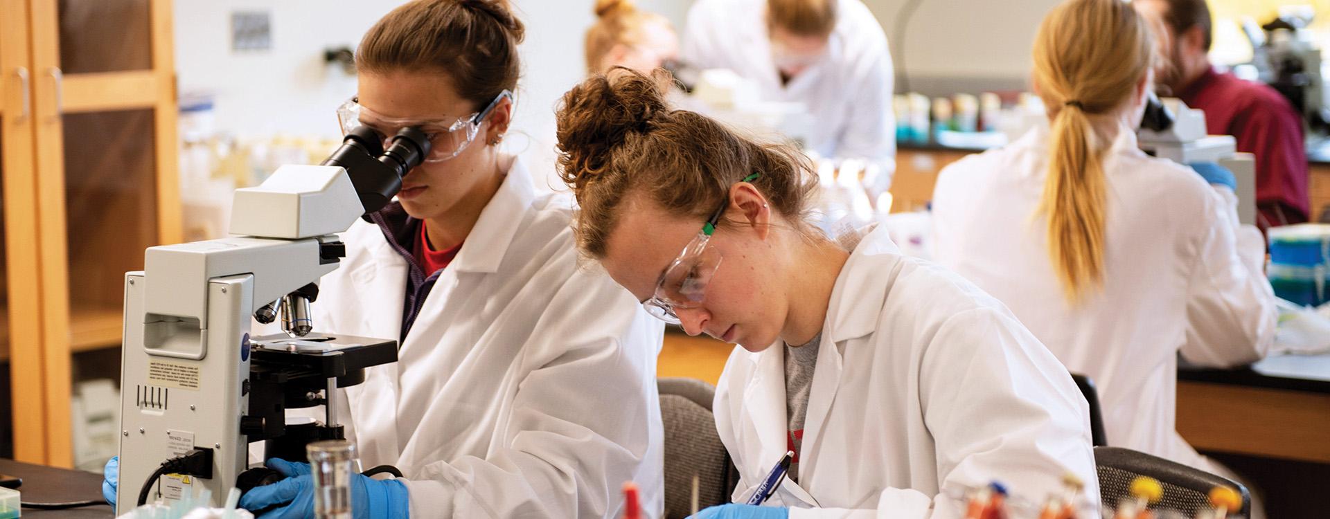 Students in chemistry lab 